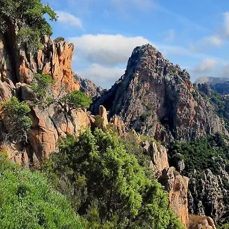 Διαμέρισμα Mini-villa Clematite - 500m Plages Et Commerces